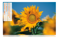CISSP_Summary_V1.1 2.pdf